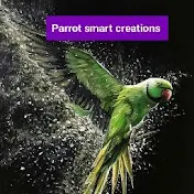 Parrot Smart Creations