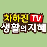 차하진TV