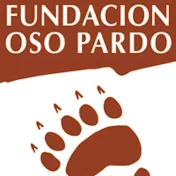 Fundación Oso Pardo