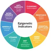 Epinutracell srl Epigenetica