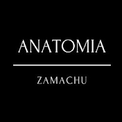 ANATOMIA ZAMACHU