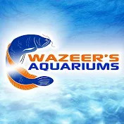 Wazeer's Aquariums
