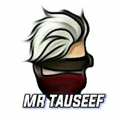 Mr Tauseef