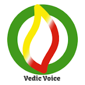 Vedic Voice Media