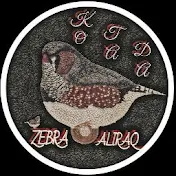 zebra . aliraq / زيبرا العراق