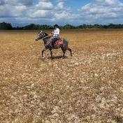 Reinaldo Sibo