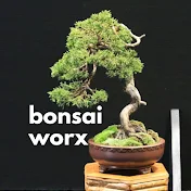 bonsai worx