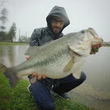 Ty PigPatrol