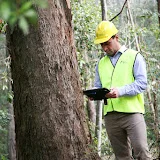 Forestry Corporation of NSW