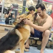 Simba THE INDIAN GSD