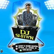 DJ_ SHAWN_DAN