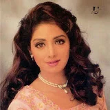 Sridevi Fan