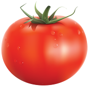 PomidorkO