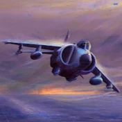 Sea Harrier FRS1