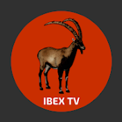 Ibex Nostalgia