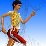 Anatomía 3D Lyon 1