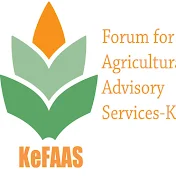 Kefaas Kenya