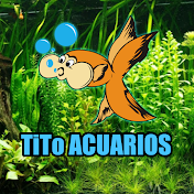 TITO ACUARIOS