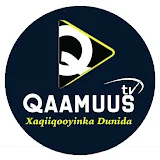 Qaamuus