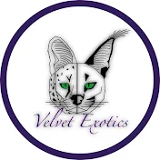 Velvet Exotics