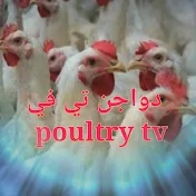 Poultry tv دواجن تي في