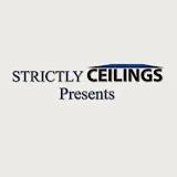 www.strictlyceilings.com