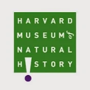 Harvard Museum of Natural History