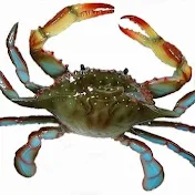 Tunacrab