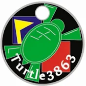 Turtle3863