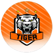 Tiger Academia de Futebol