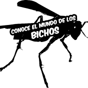 CONOCE EL MUNDO DE LOS BICHOS