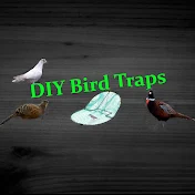 DIY Bird Traps