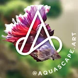 Aquascape Art