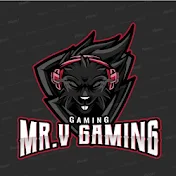 MR.V Gaming