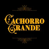 Cachorro Grande - Topic