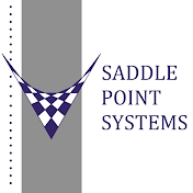Saddle Point Systems