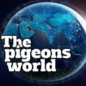 The pigeons world