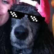 HipBlackPoodle