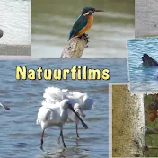 Natuur & reisfilms / nature & travel Roland Rondou