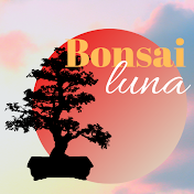 Bonsai Luna