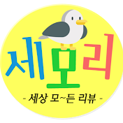 한의사의 세모리