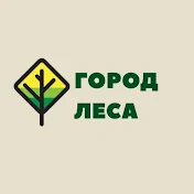 Город Леса