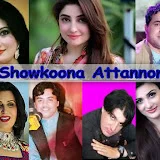 Showkoona Attannoona