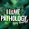 ilovepathology