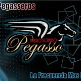 radiosonidopegasso