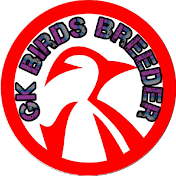 GK Birds Breeder