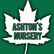 Ashton's Nursery