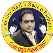 Kabootar bazi ka raaz o ramooz