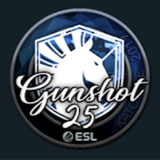 Gunshot25