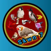 skwn 7